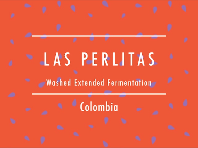 【お得！500g】コロンビア / LAS PERLITAS Washed Extended Fermentation