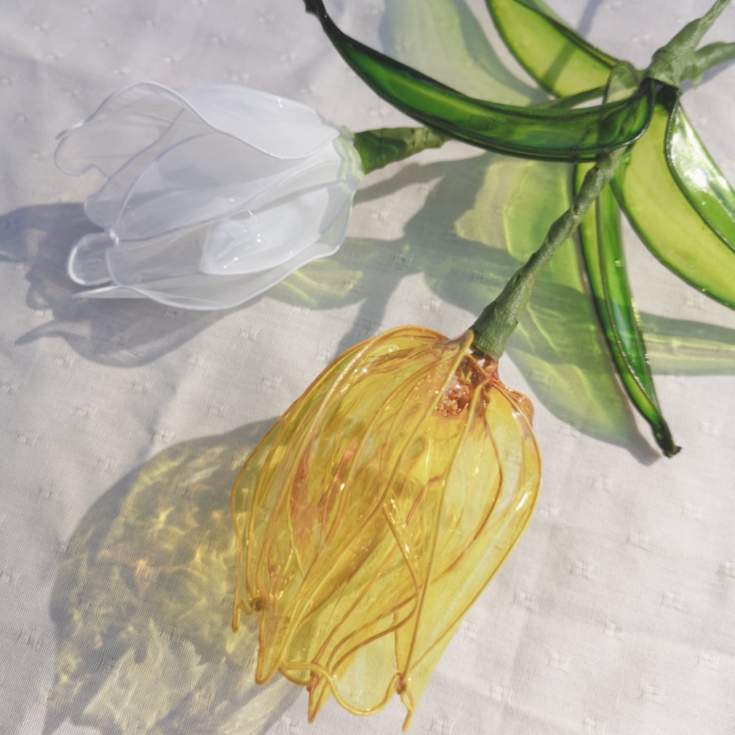 4本クリアチューリップ | clear tulip