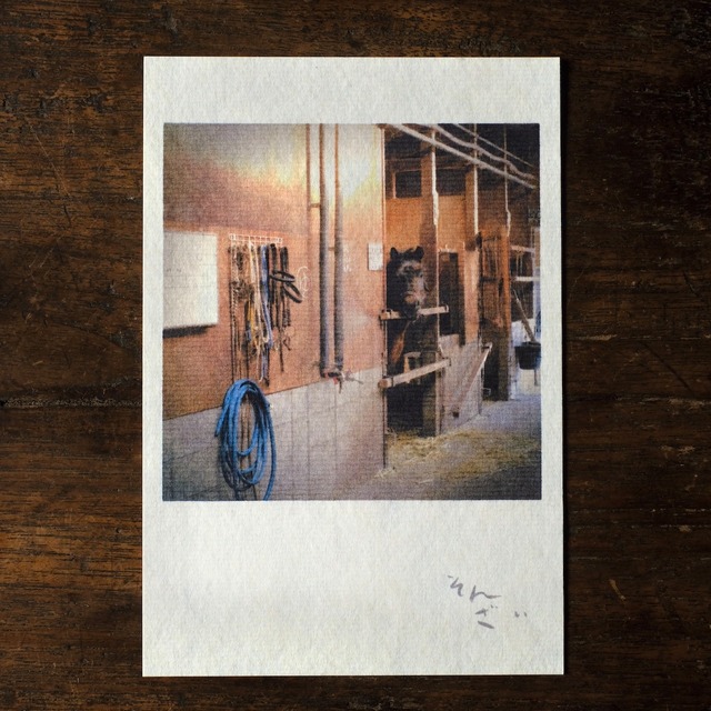写真と詩のポストカード９「そんざい」木曽馬　伊勢和紙芭蕉紙