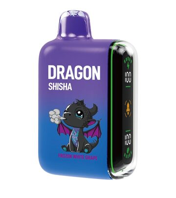DRAGON SHISHA BLUE RAZZ ICE | PAY ID