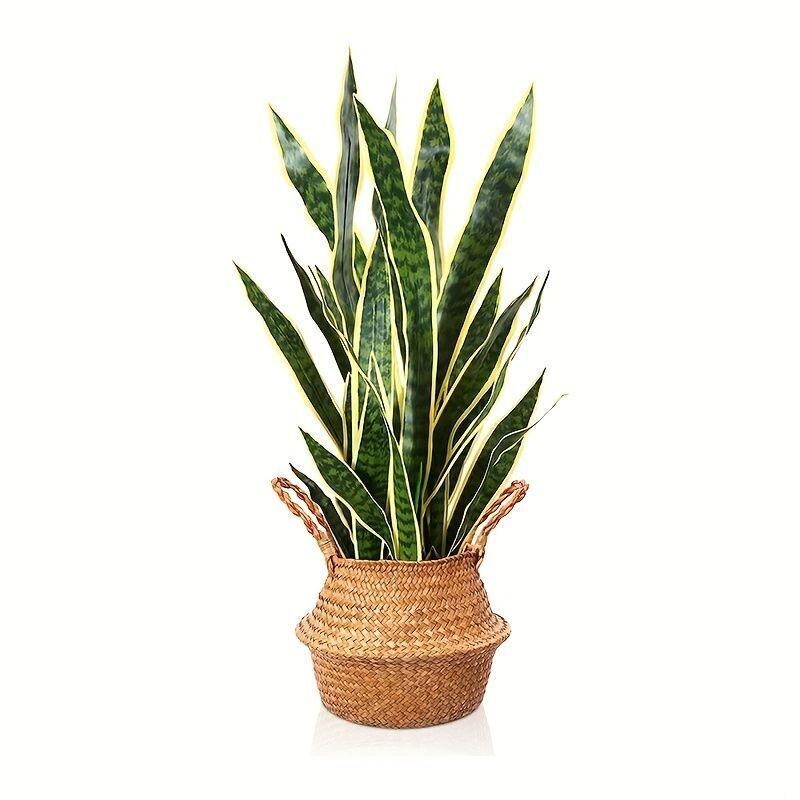 フェイクプラント 観葉植物 サンセベリア 人工植物 グリーン 癒し リラックス 玄関 庭 リビング ダイニング 室内 屋外 インテリア 4-7 フェイクプラント 観葉植物 サンセベリア 人工植物 グリーン 癒し