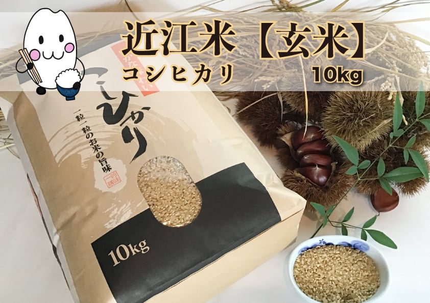 玄米]滋賀県産コシヒカリ10kg