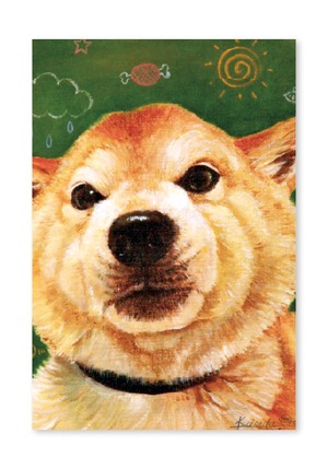 オリジナルポストカード　ムッとする柴犬