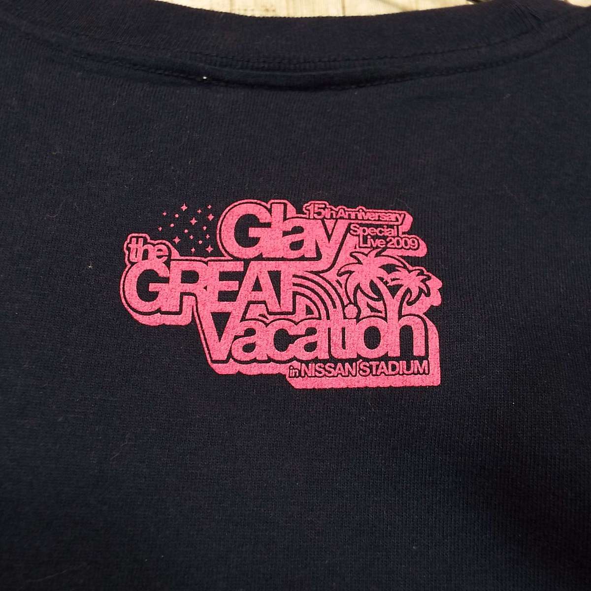 GLAY グッズTシャツ　まとめ売り レアグッズ】【ライブTシャツ】Glay グレイ 15th anniversary the