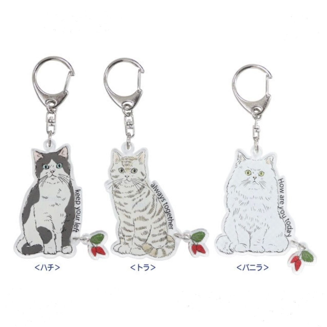 noa様おまとめ3点商品。:°ஐ..♡* ノアファミリー Noa Family | 猫雑貨・猫グッズ専門店 - クロネコ