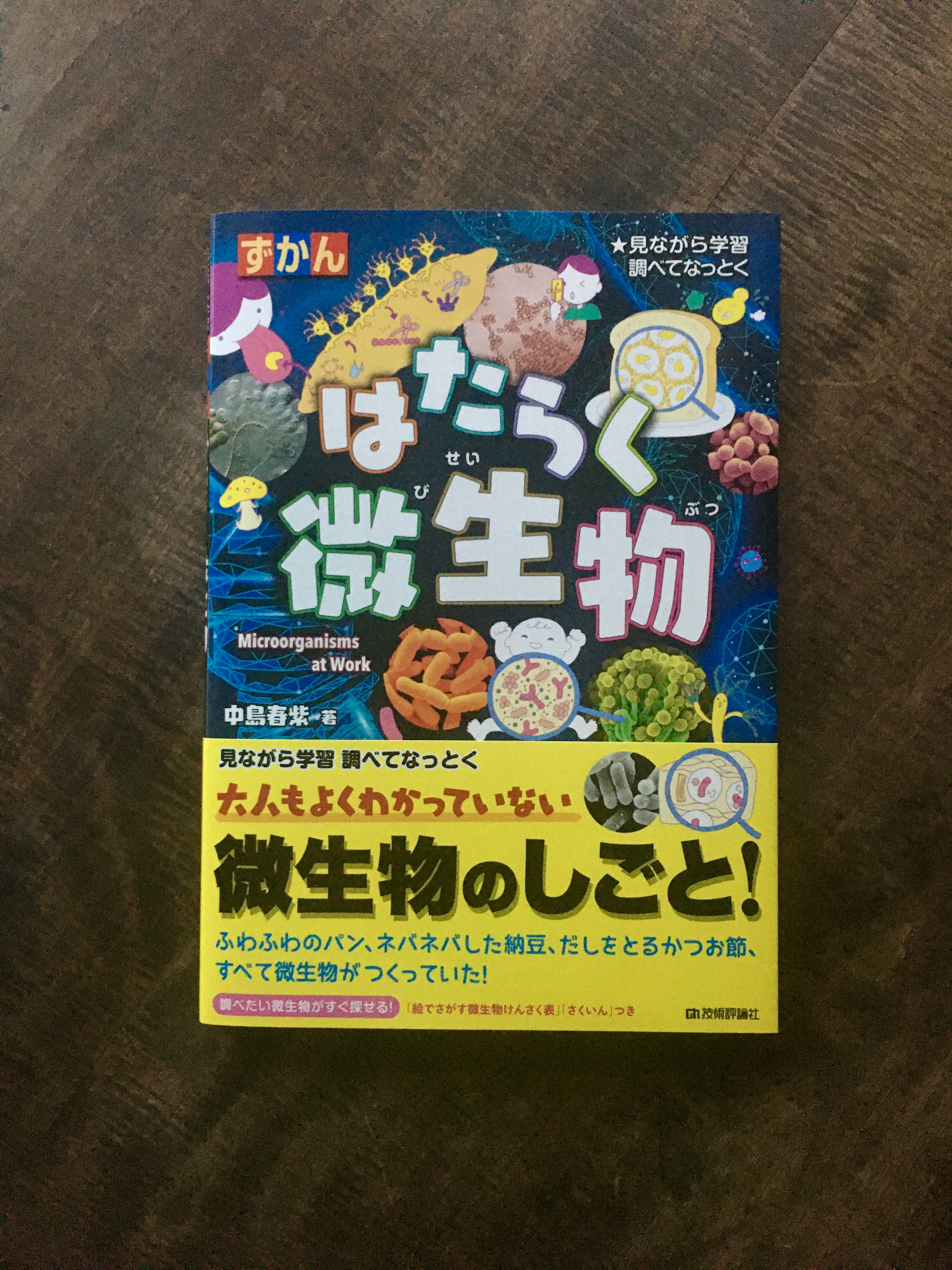 微生物の力で肌をきれいに！ 24dcd8157f2deca124752dc9c9cf0e