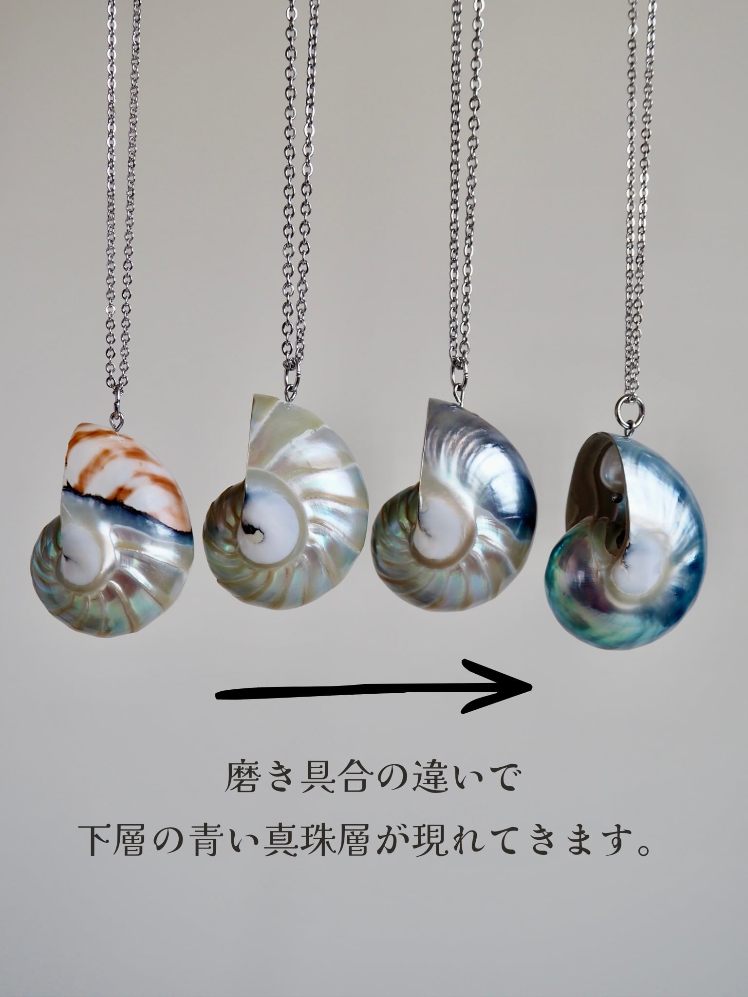 青い真珠 オウムガイベビー ペンダント（パールブルー） | 貝殻と人魚