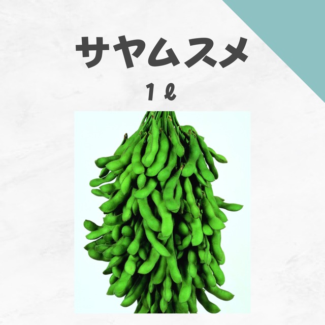 サヤムスメ　エダマメ種子・1L
