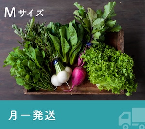 《月1発送》FIO野菜-定期便 Mサイズ