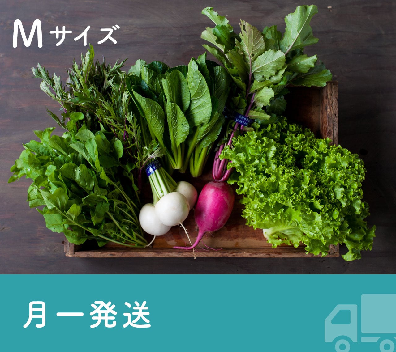 アンドファームユギ　月1発送》FIO野菜-定期便　Mサイズ　オンラインショップ