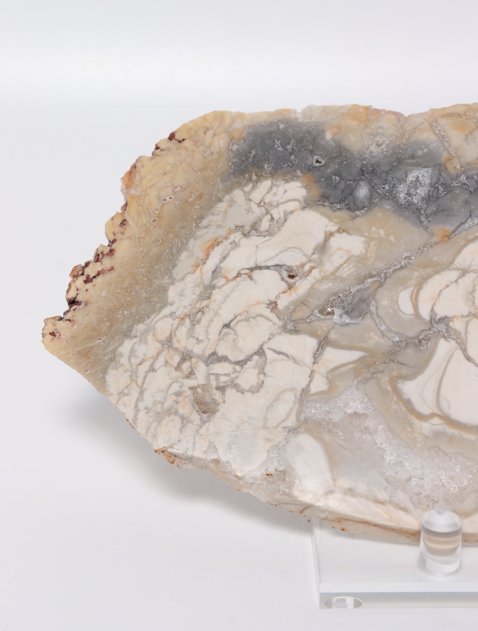 IBIS JASPER SLICE | Madagascar | acenus