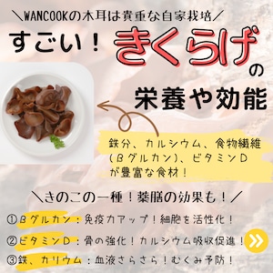 やぎミルク入りチキンおからバーグ大口お得セット