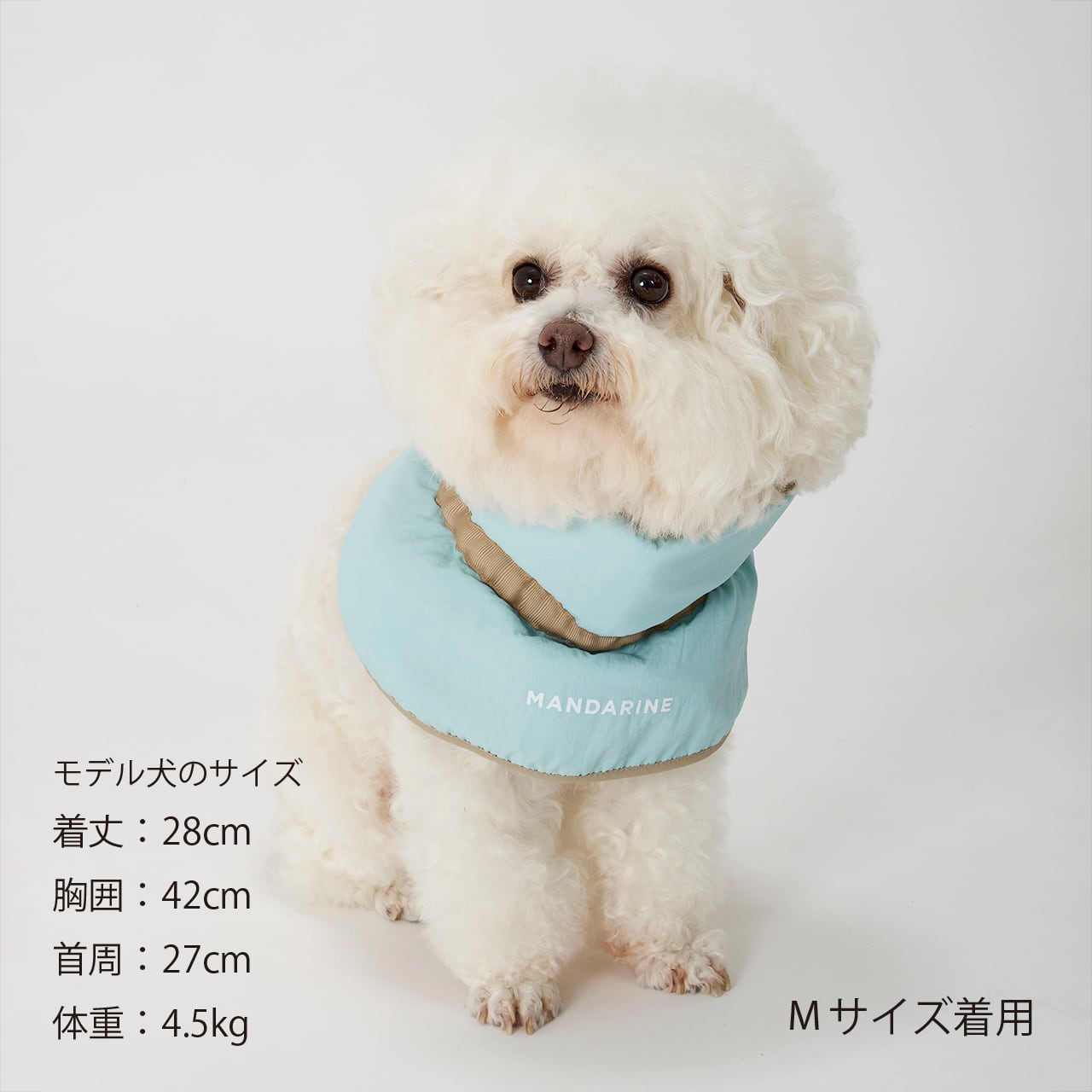 COOLING COLLAR（M） クーリングカラー | MANDARINE BROTHERS