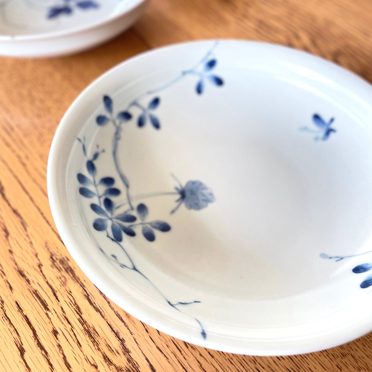 21cm深皿 No,1しだ絵 ／ No,2野バラ 作：陶房 青（波佐見焼） | に