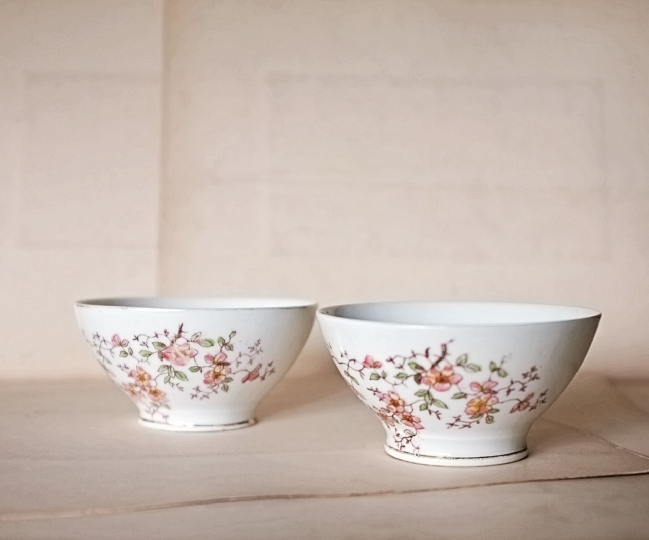 フランス  春色の虫と春色の花とカフェオレボウル アンティーク