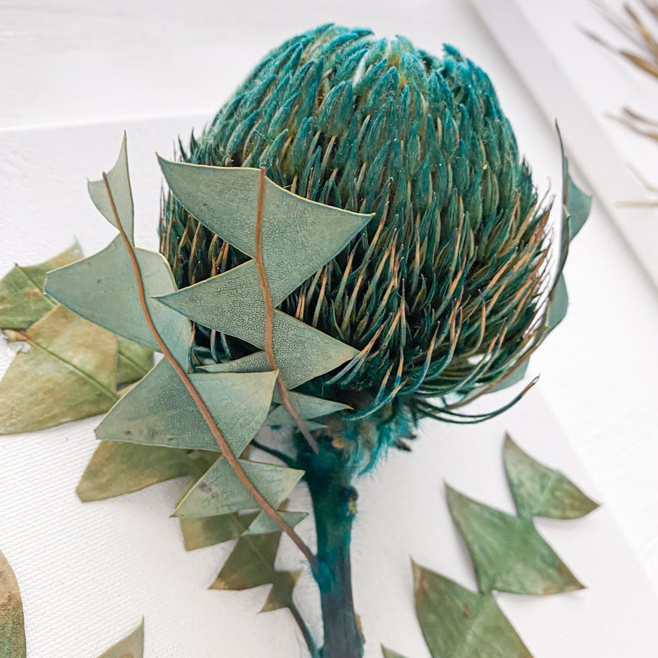 大ぶりのドライフラワーを大胆にあしらったボタニカルアートボード