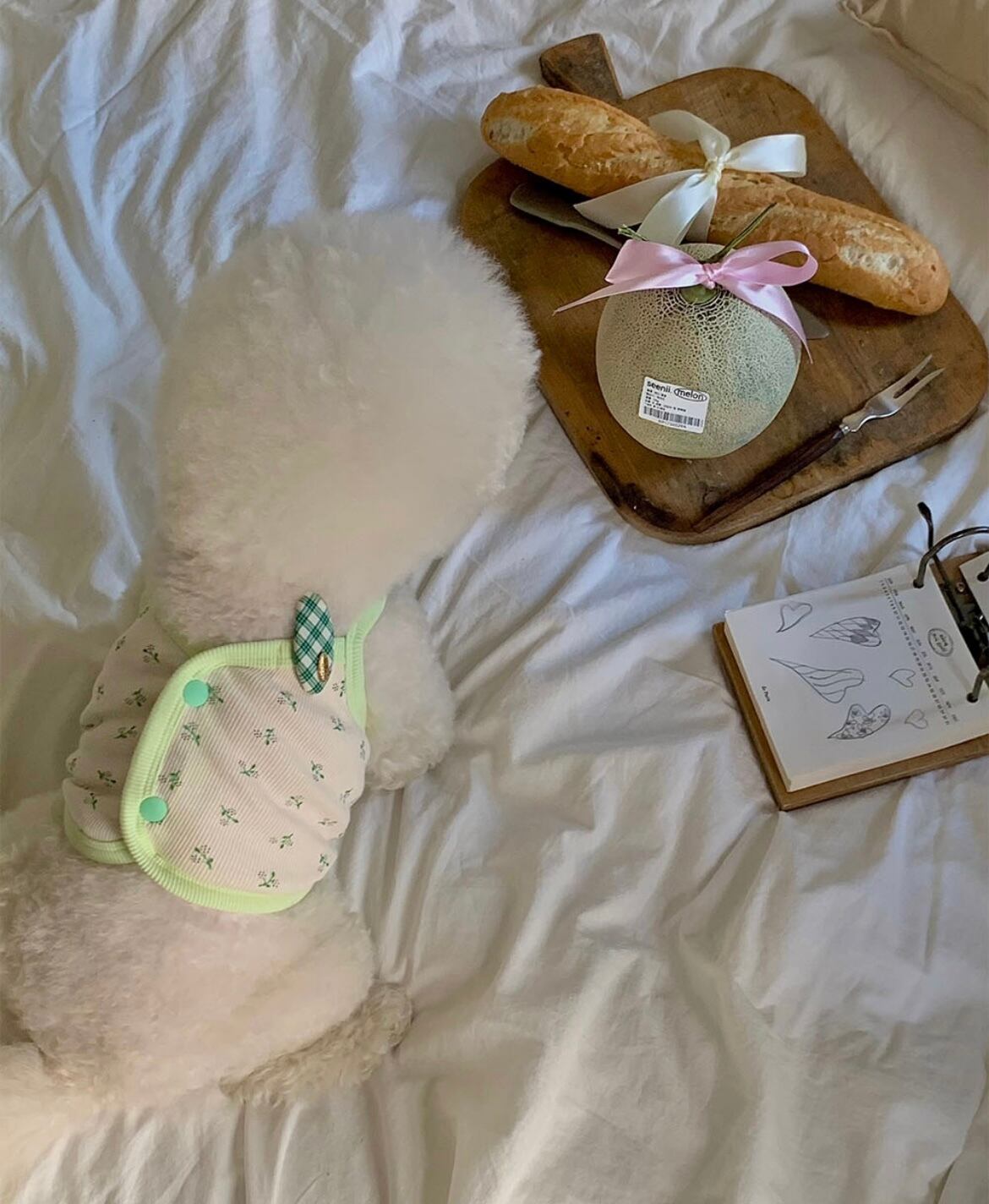 【seenii】pipo! crop top (Green)