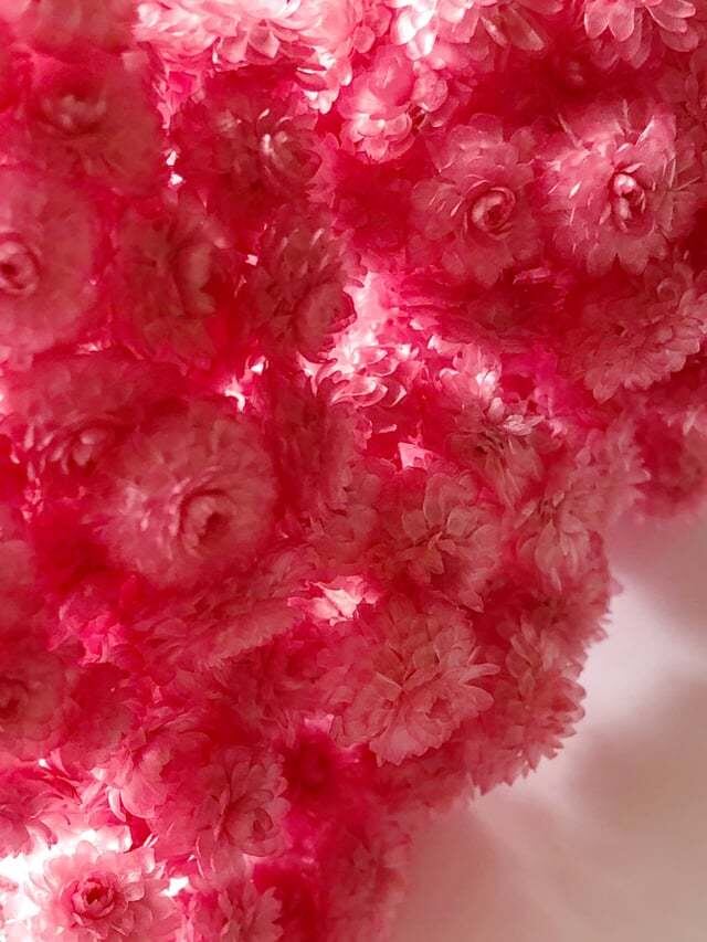 シェア花材☆イモーテル・フランボワーズ