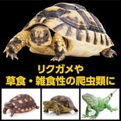 GEX EXOTERRA リクガメの栄養バランスフード 400g 毎日の健康食 高繊維質フード よく食べる 高嗜好性