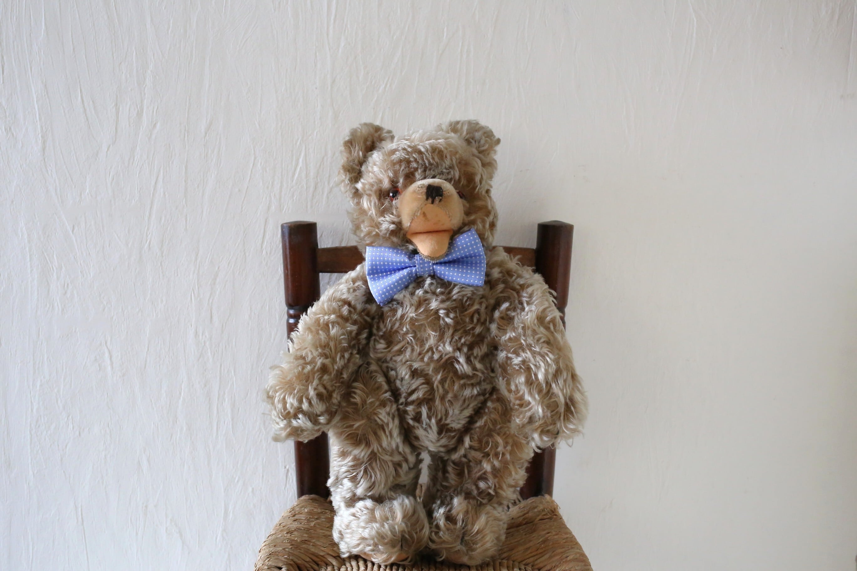 テディベア　ゾッティ　ハーマン　アンティーク　ビンテージ ドイツ アンティーク ヴィンテージ HERMANN ハーマン テディベア