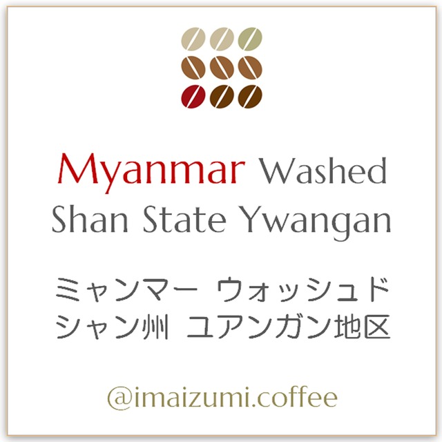 【送料込】ミャンマー ウォッシュド シャン州 ユアンガン地区 - Myanmar Washed Shan State Ywangan - 300g(100g×3)