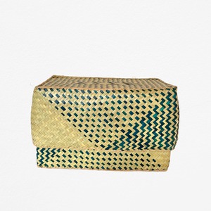 Rectangular colourful basket M w25.5cm×15cm×h15cm四角カラフル蓋付き収納かご