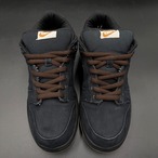 SB DUNK LOW CARHARTT 304292-004