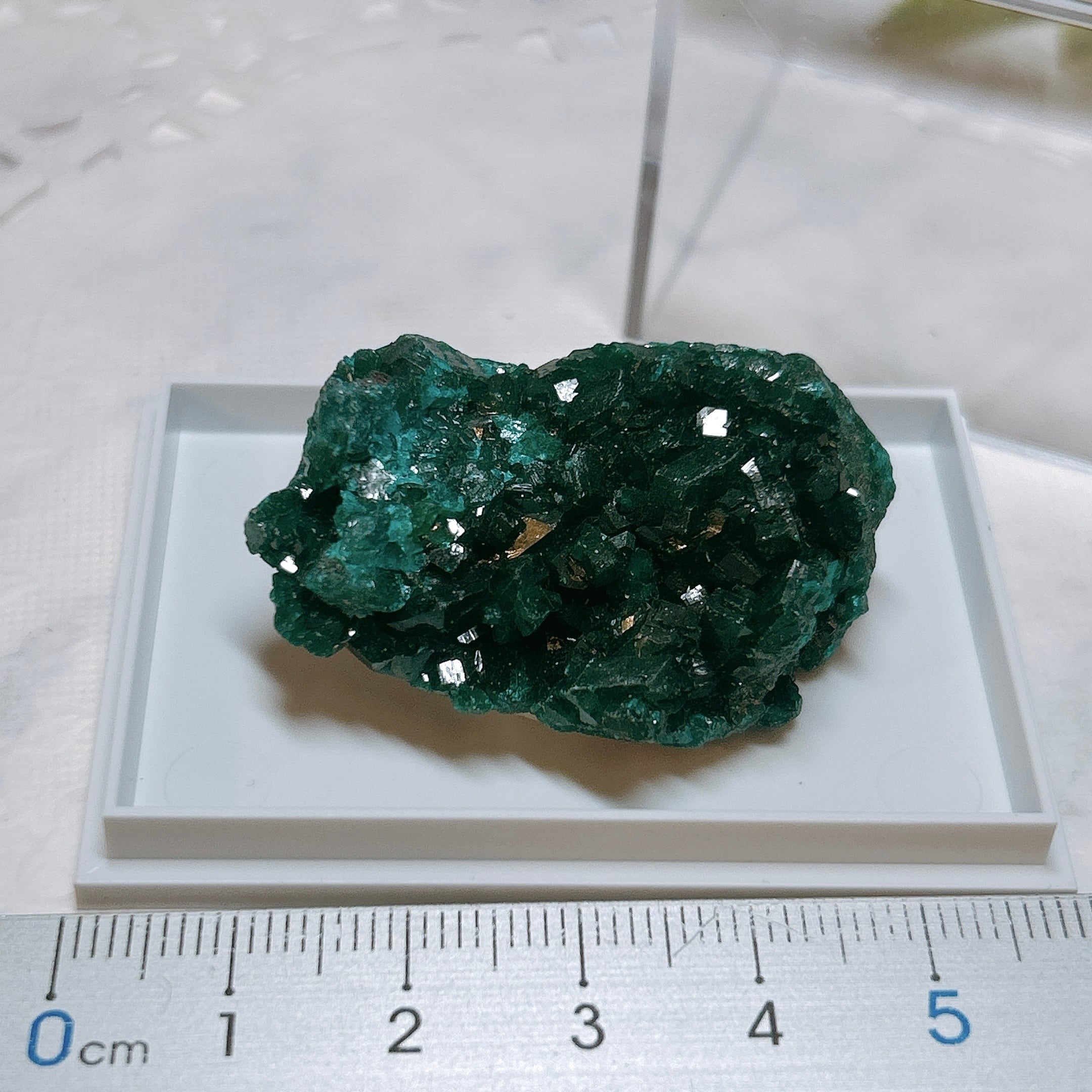 ⭐ダイオプテーズ（翠銅鉱） | クリスタル・ワールド御徒町店