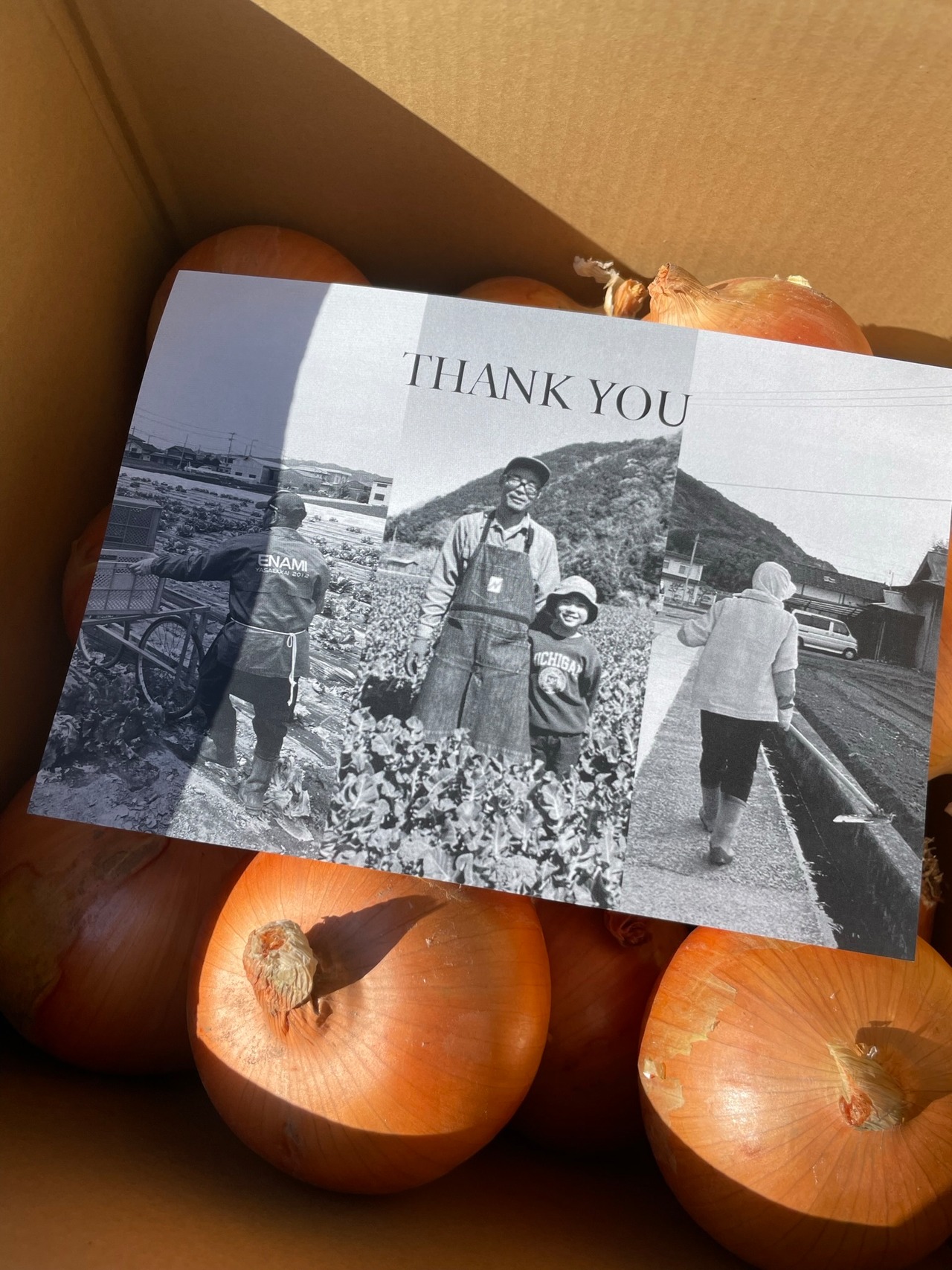 【糖度10度】極甘玉ねぎ 5kg