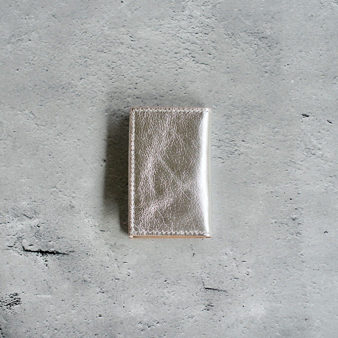 TS CARD CASE 01 SILVER