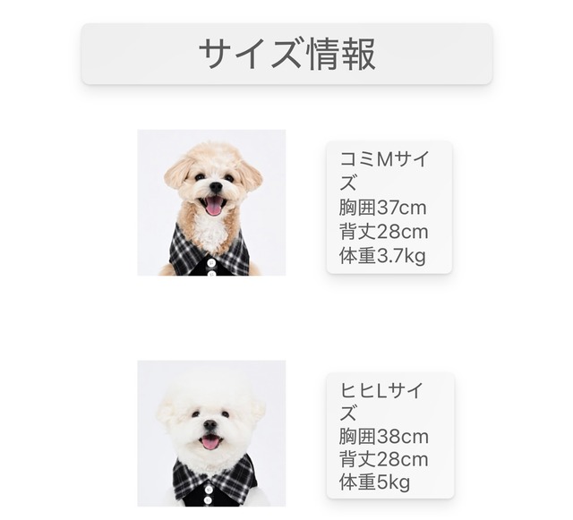 足を通さない襟付きシャツ ‐ (CREAM)