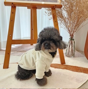 即納【nounnou】Logo Hoodie Warm(袖あり)／わんちゃん用(2color)