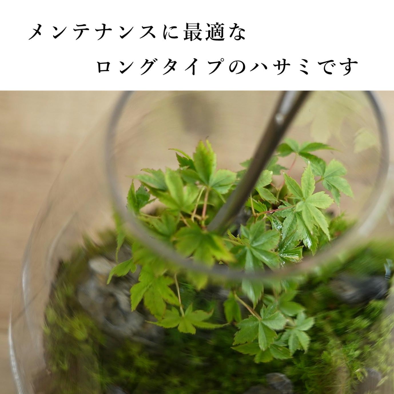 苔トリミング用】ハサミ ロングタイプ（曲） 160mm | 苔テラリウム