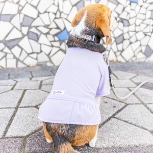 愛犬用半袖ウェア（パープル,ネイビー,ベージュ）