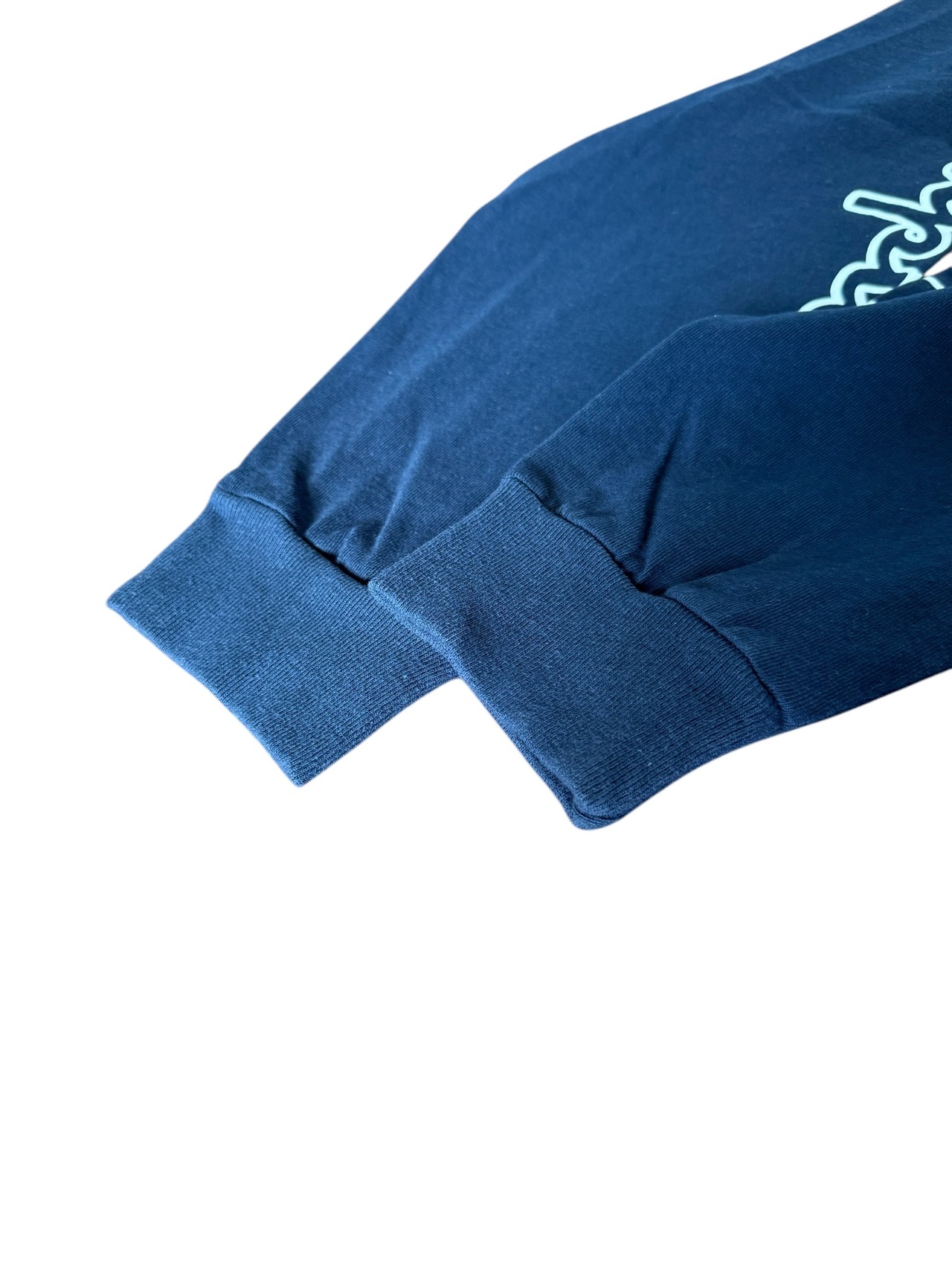 Champion USA プリント ロンT