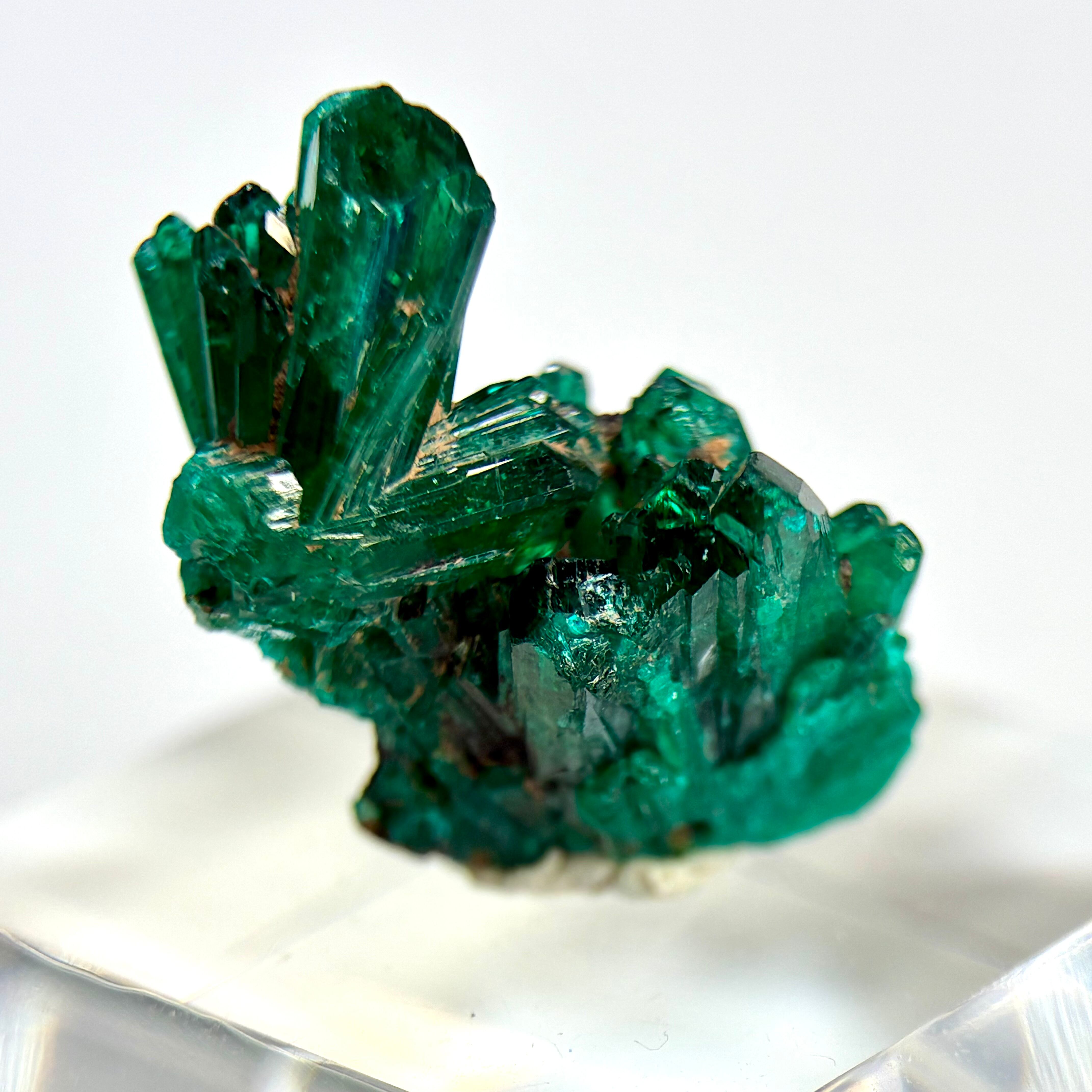 ダイオプテーズ | World Minerals 世界中の鉱物原石の販売店