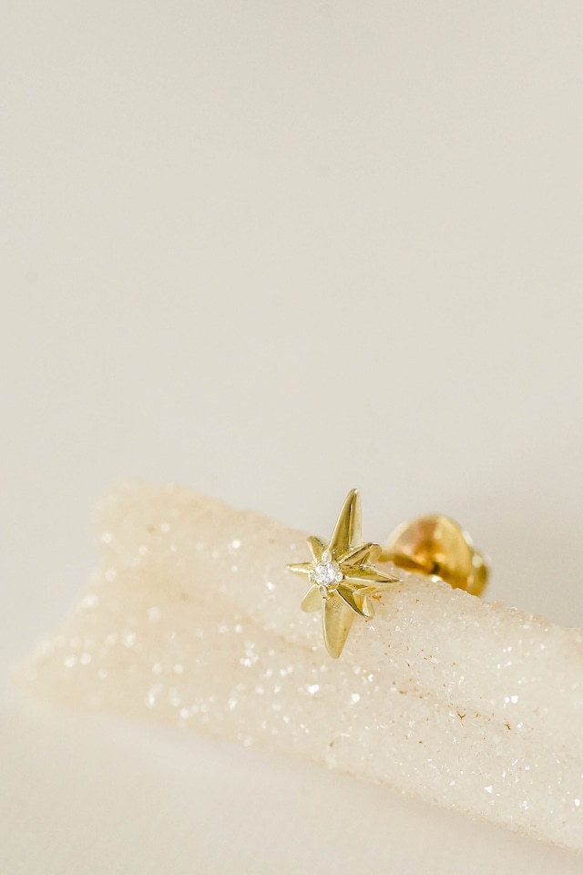 Shining Star Stud Earring【片耳用】14KGP