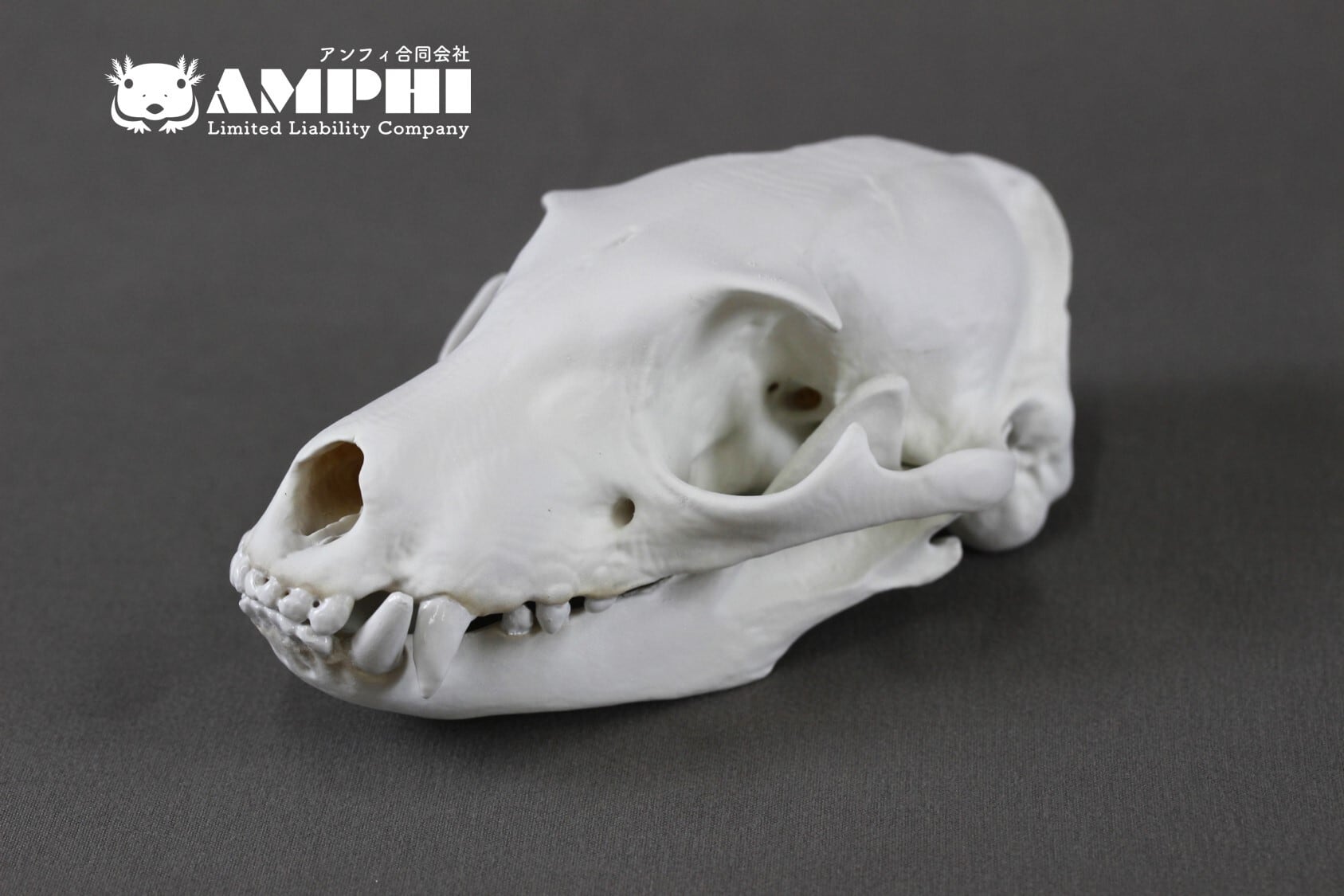 2504ff9c1803ff3dbd20ddaf2034cc