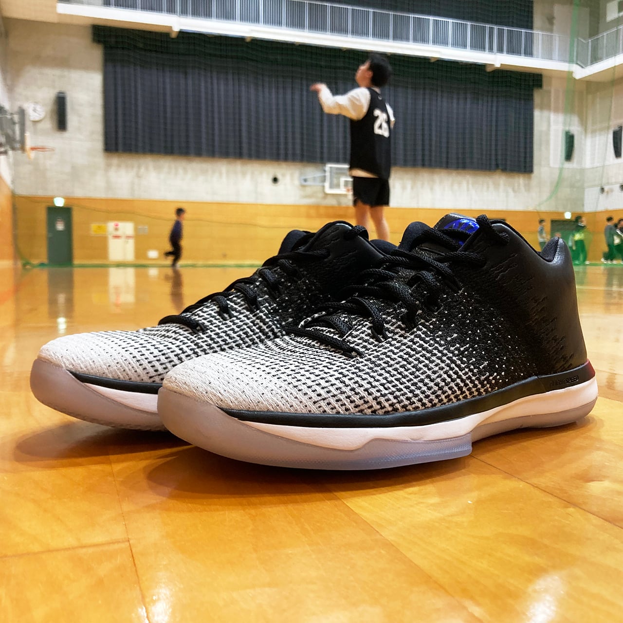 Air Jordan XXXI Low 