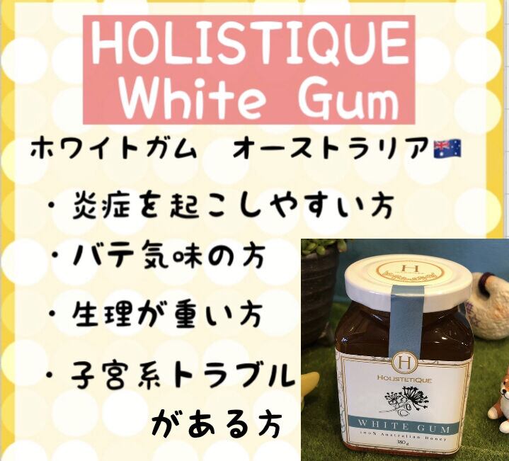 HOLISTETIQUE White Gum 1キロ