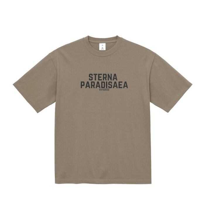 ミサワくん ドライTシャツ グレー | Pay ID