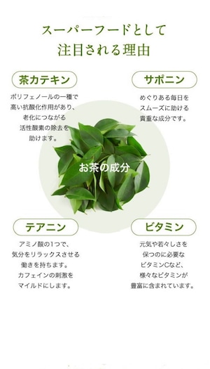 オーガニック緑茶 煎茶 ティーバッグ 30袋セット 農薬不使用 化学肥料不使用