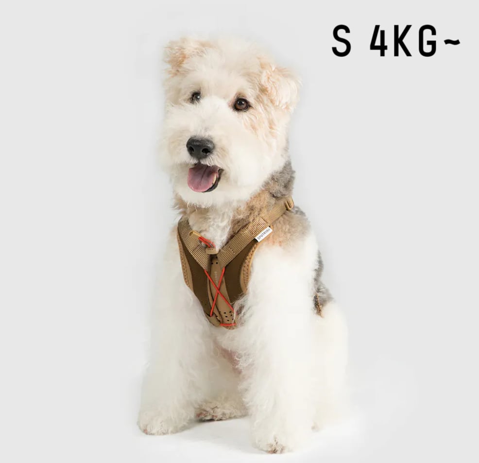 SPUTNIK | ペット用品 ココアンドルカ BASE店