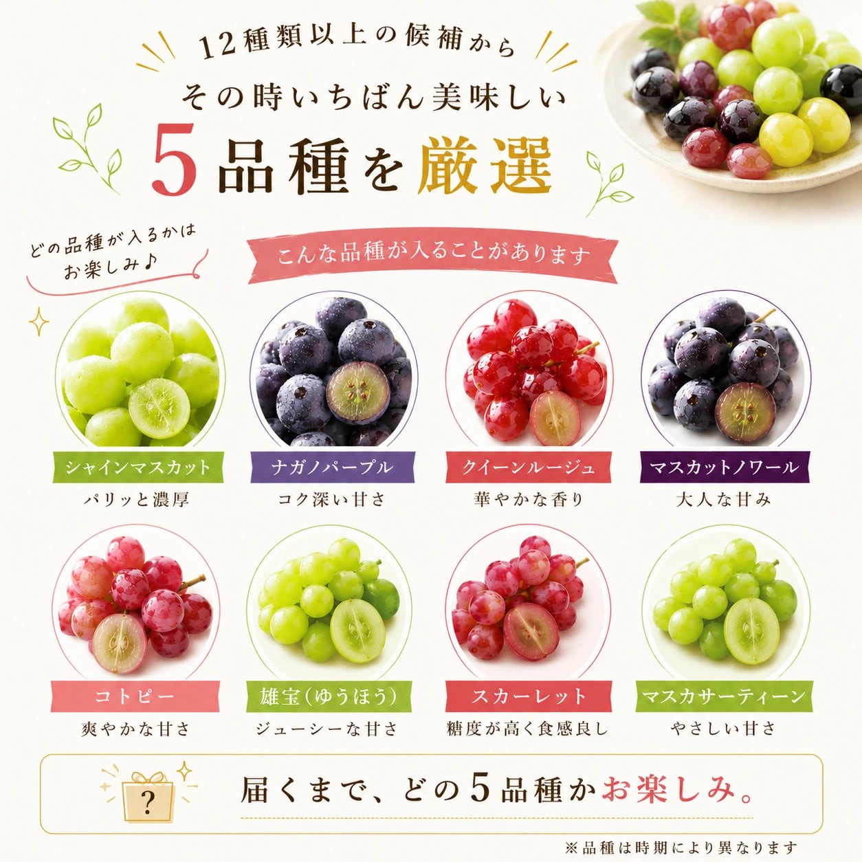 皮ごと食べられる！】種なしぶどう粒の詰め合わせ「ぶどうのビーズ