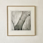 渡邊加奈子 WATANABE Kanako "In her woods" 2023 woodcut(with frame) thumbnail 1