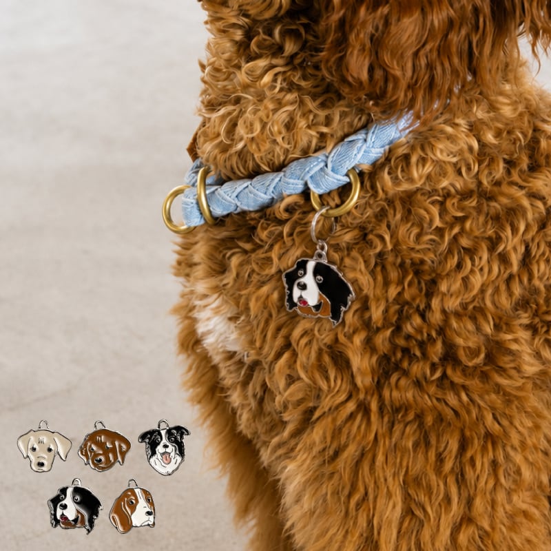 【Hoippo MyFamily】PET ID TAG 名入れ DOG4 - 5種類 - 迷子札