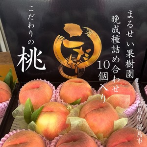 福島・まるせい果樹園の旬を贈る極上完熟桃ギフト【御贈答用】10個入り