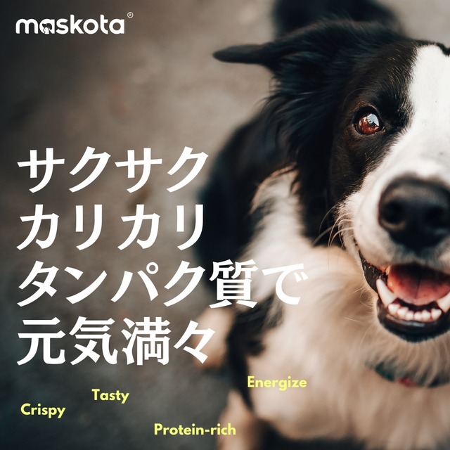 maskota 大人気 無添加 国産 鶏むね肉とブロッコリーのクリスプ（食物繊維）ペットおやつ 80g