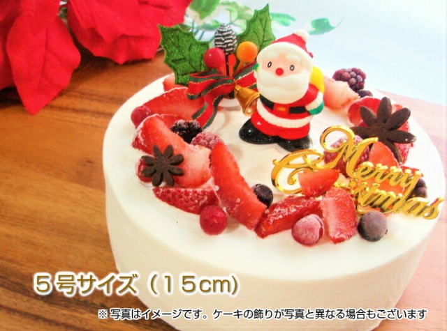 【糖質制限・低糖質スイーツ】クリスマスケーキ☆5号(15cm)糖質制限中の方や、ダイエット中の方にオススメ！低糖質クリスマスケーキ ローカーボクリスマスケーキ 砂糖不使用 糖質オフケーキ
