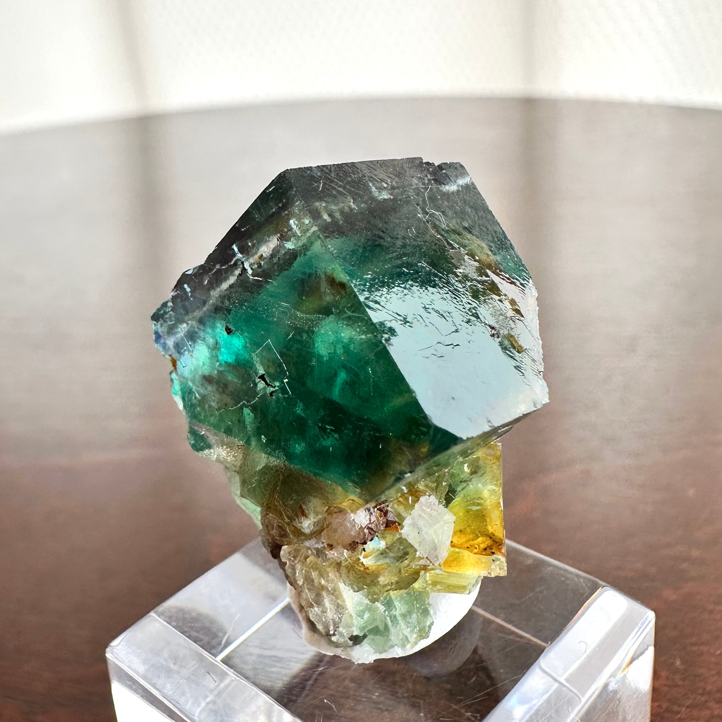 hopeナミビア月光フローライトコレクターピース ＆キラキラパイライト共生 フローライト【Fluorite】ナミビア産 | PEANUTS MINERALS
